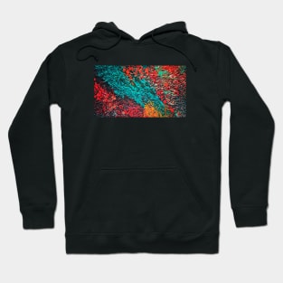 Color Clash Hoodie